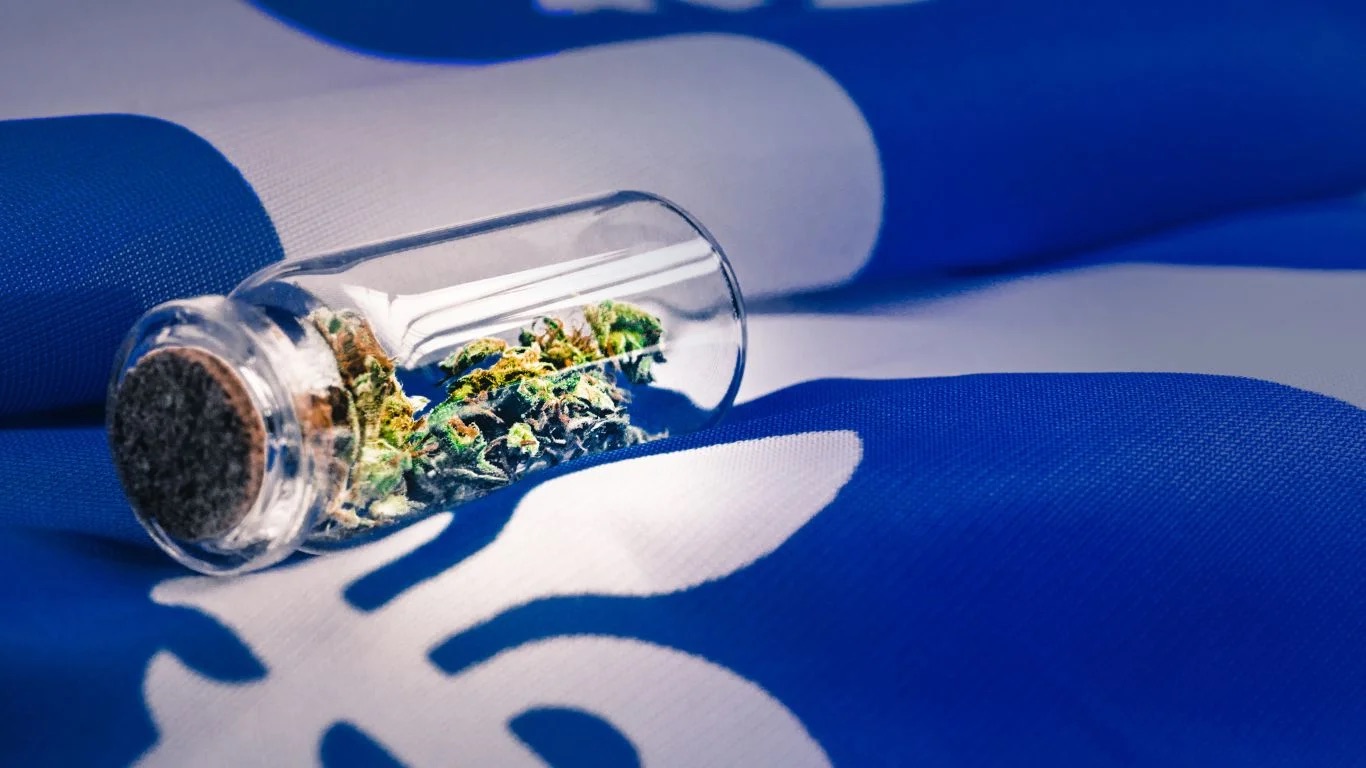 L’industrie québécoise du cannabis et du chanvre : un aperçu économique détaillé révèle la croissance, les obstacles et le potentiel L’industrie québécoise du cannabis et du chanvre : un aperçu économique détaillé révèle la croissance, les obstacles et le potentiel
