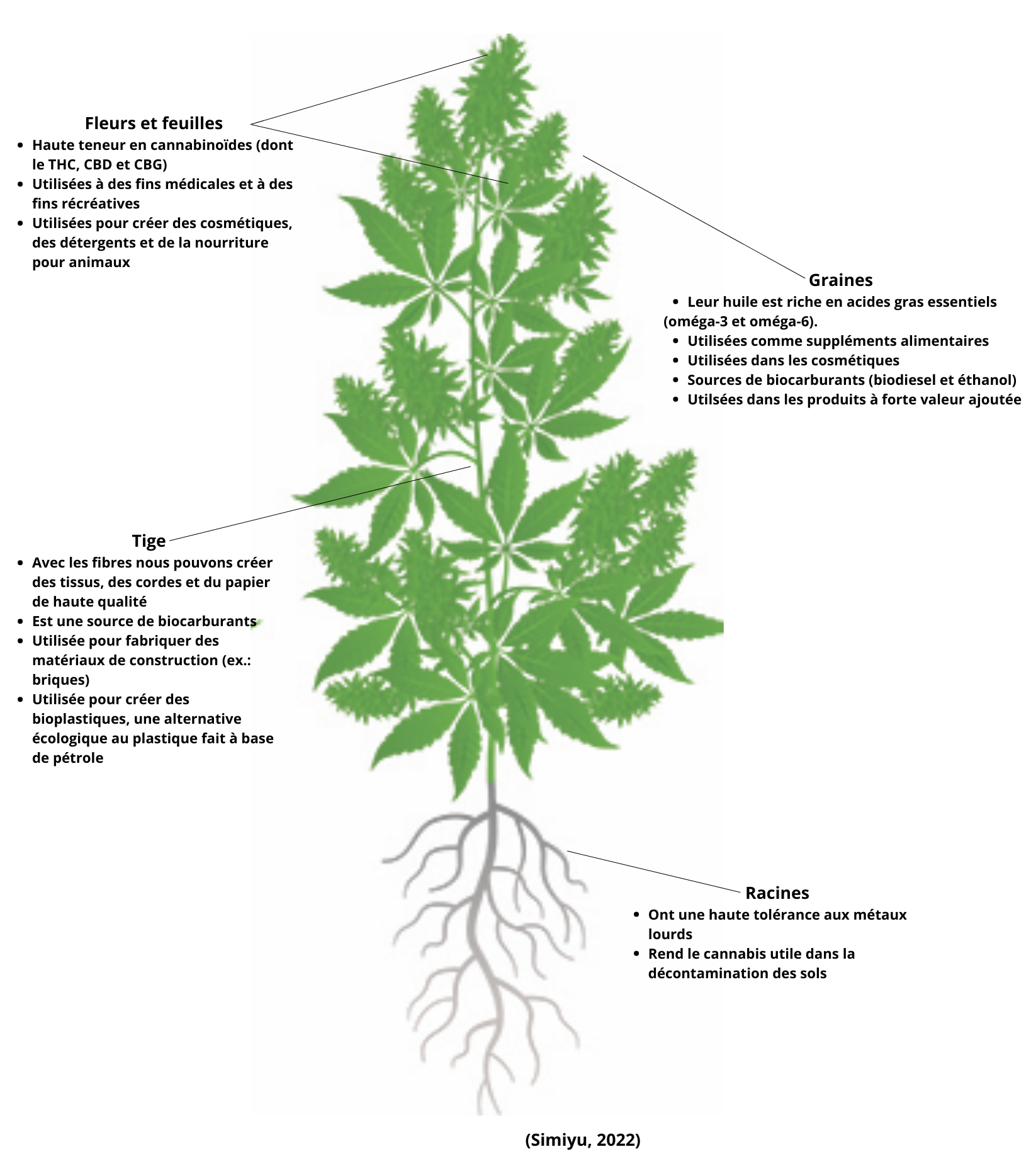 Association Québécoise de l'Industrie du Cannabis Association Québécoise de l'Industrie du Cannabis