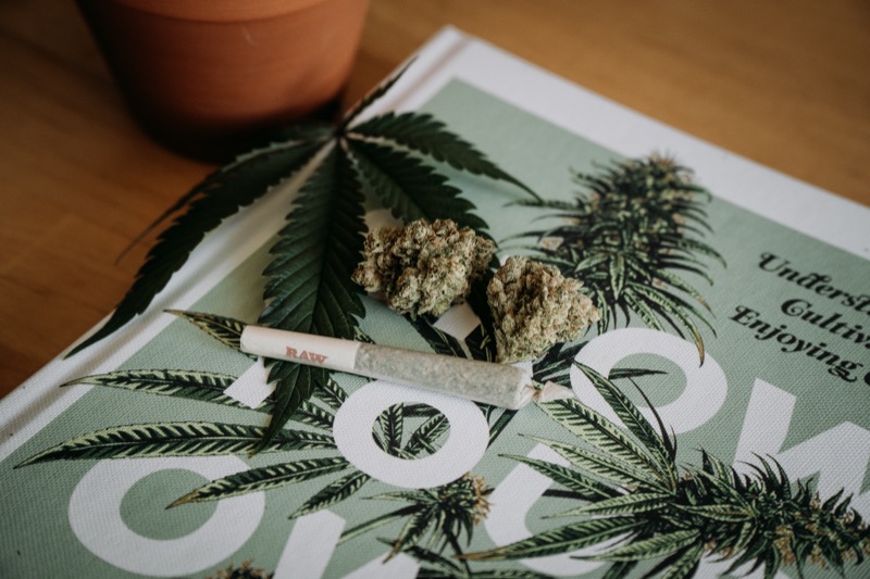 Ouverture de salons de cannabis : un nouveau marché aux États-Unis