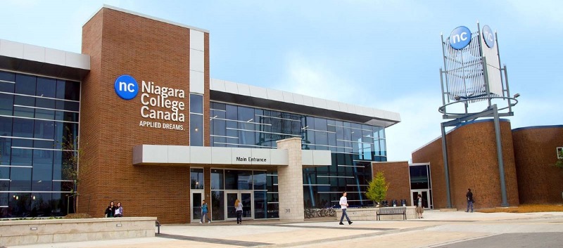 Niagara College receives grant for cannabis research