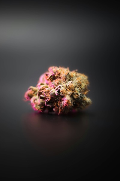 Increase in cannabis sales in 2022-23