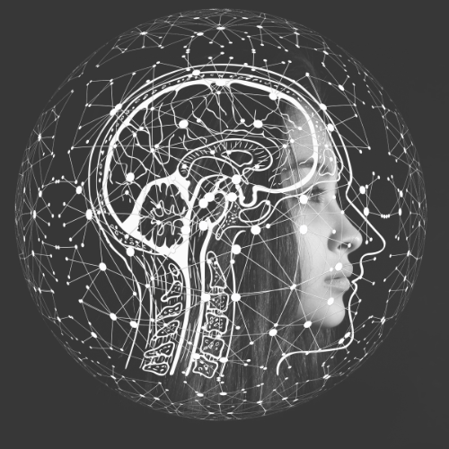 THC may reverse brain aging