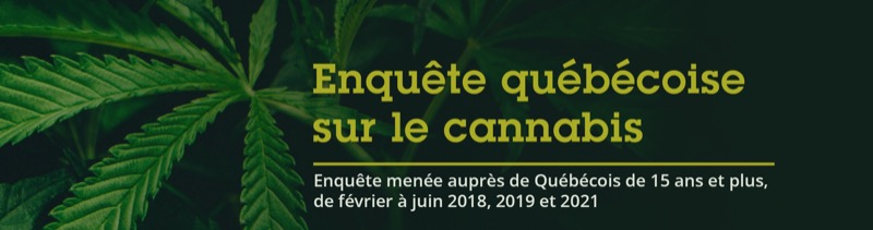Enquête québécoise sur le cannabis