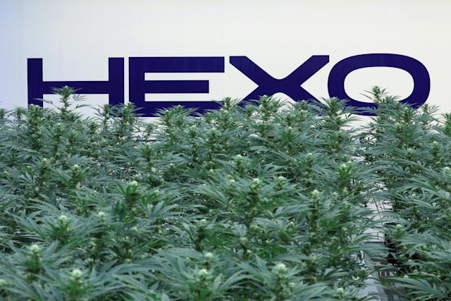 Hexo et Tilray signent un accord