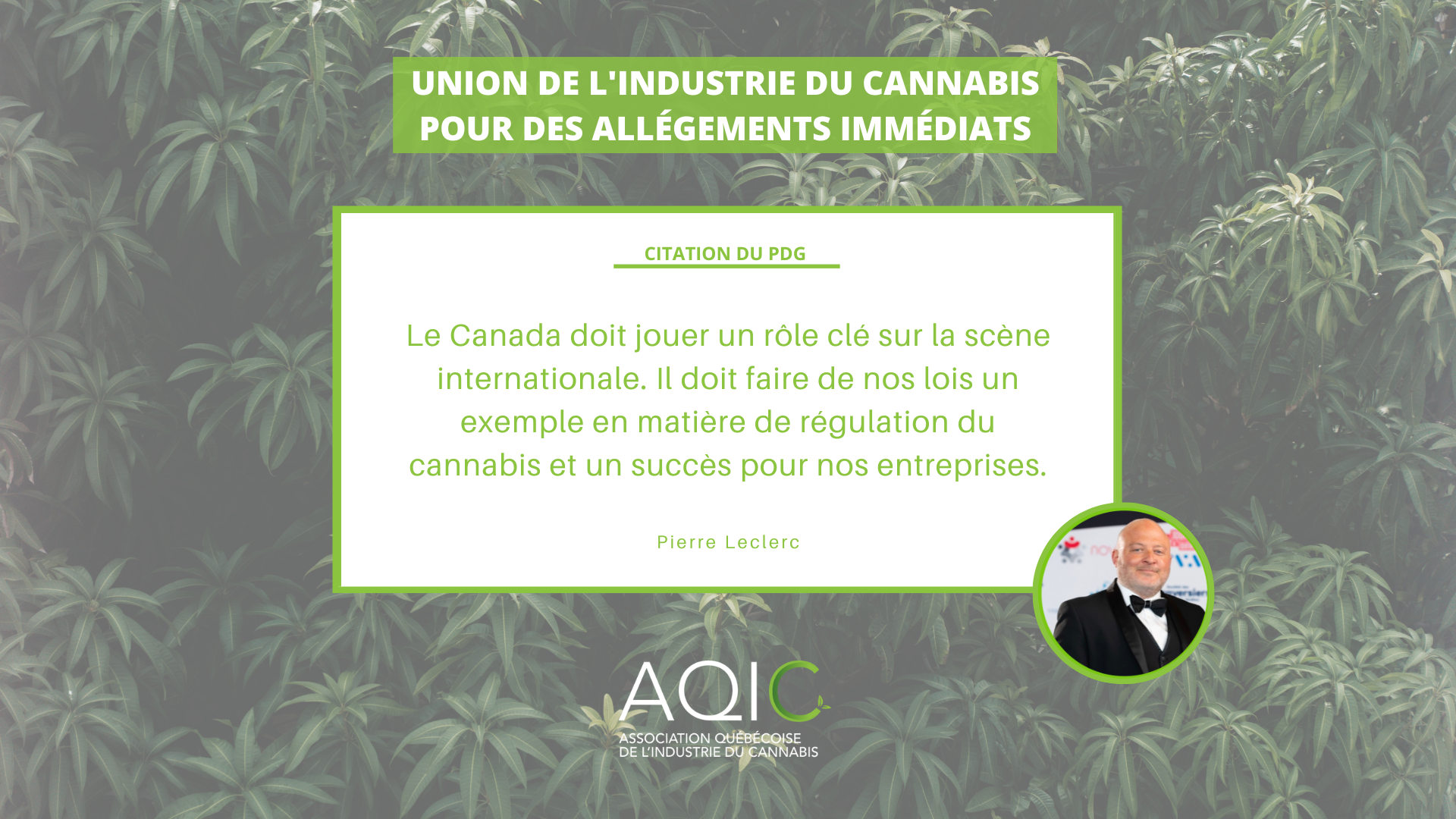 L'industrie du cannabis s'unit en ce 4e anniversaire de la légalisation pour demander des allégements immédiats face à la crise actuelle