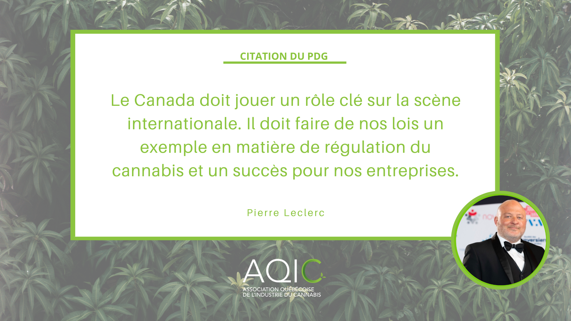 L'industrie du cannabis s'unit en ce 4e anniversaire de la légalisation pour demander des allégements immédiats face à la crise actuelle