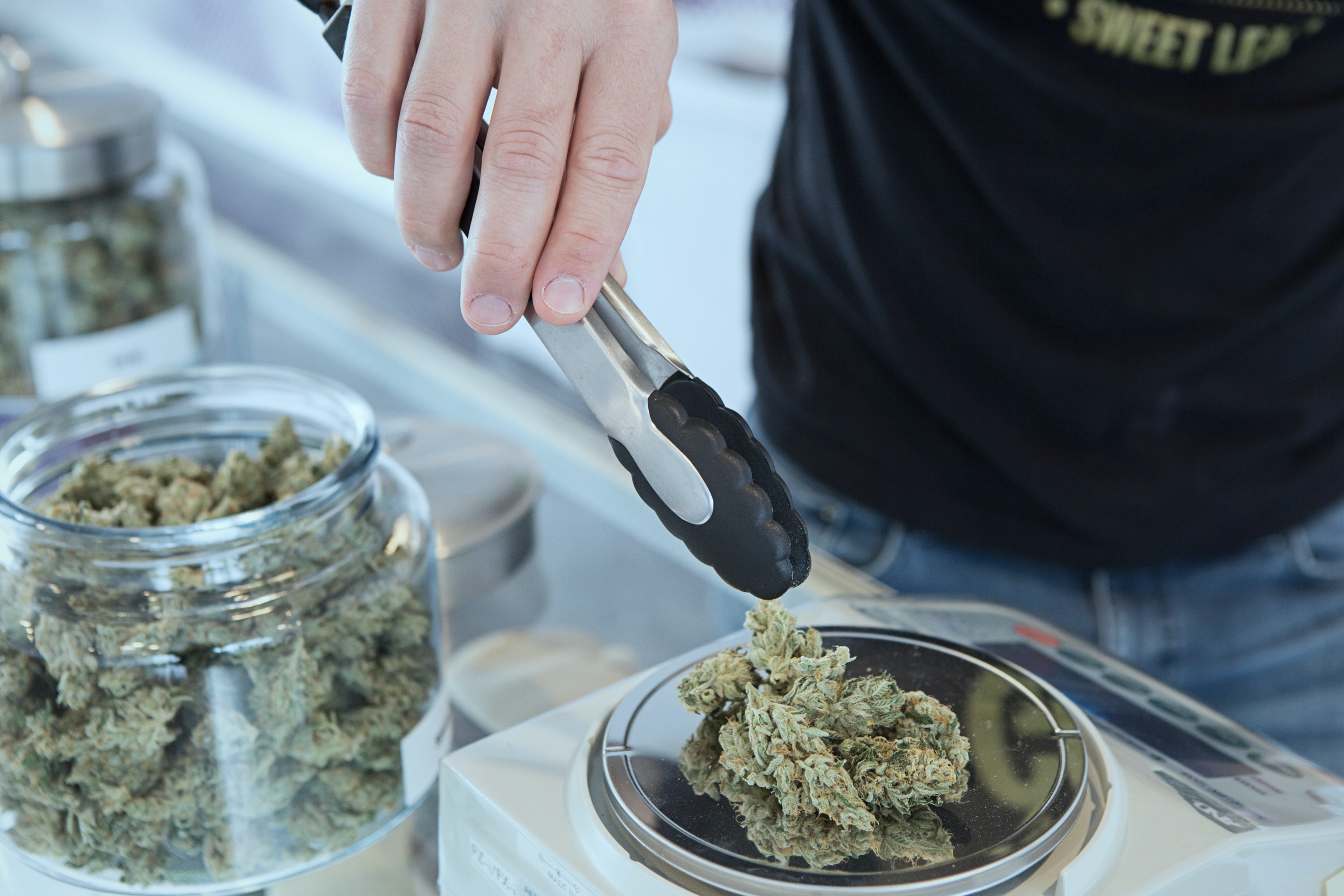 Zachary George de Sundial Growers prédit une vague de fermetures de magasins de cannabis