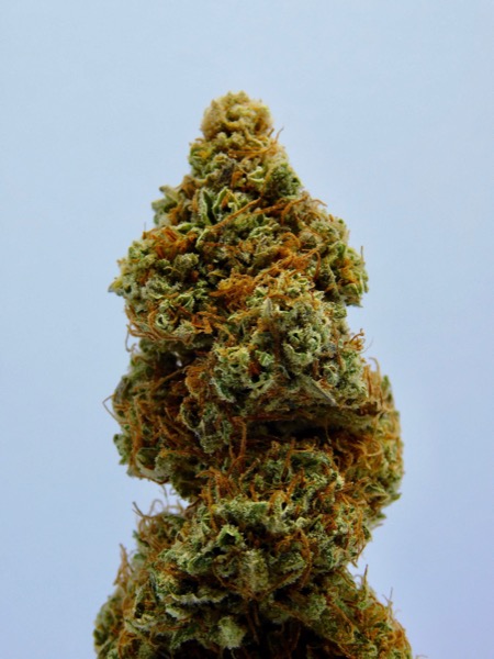 More and more Australians are using cannabis for medical purposes