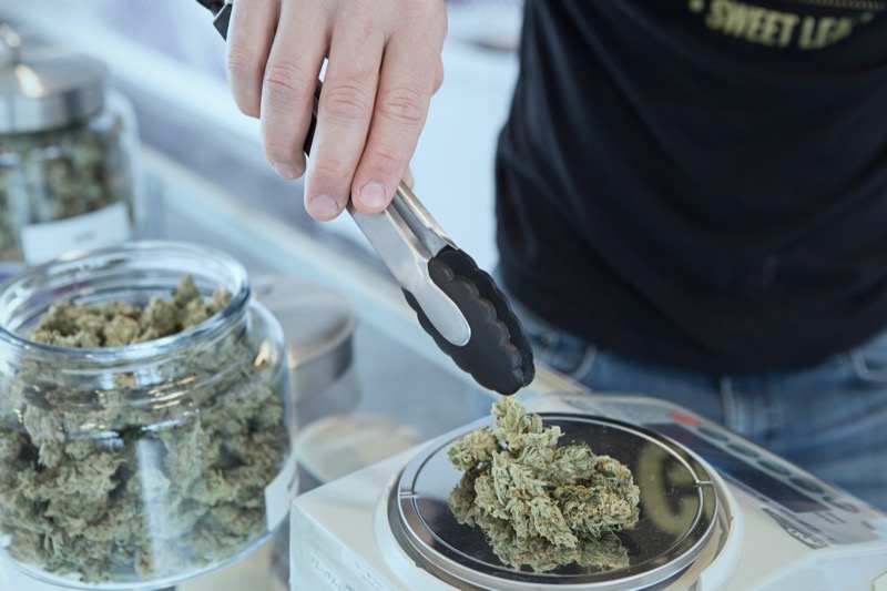 Zachary George de Sundial Growers prédit une vague de fermetures de magasins de cannabis