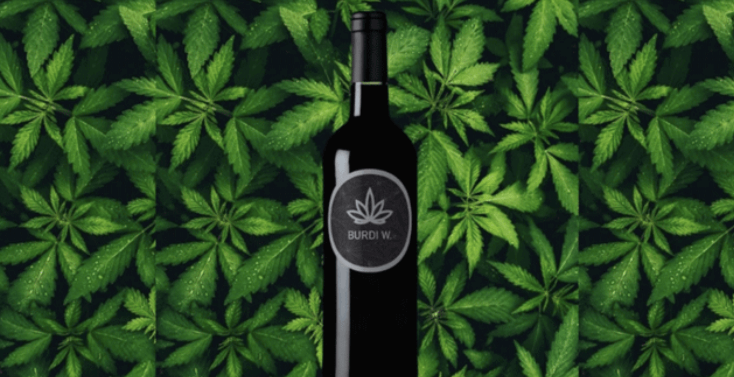 CBD increasingly used in the production of wines, beers and rum