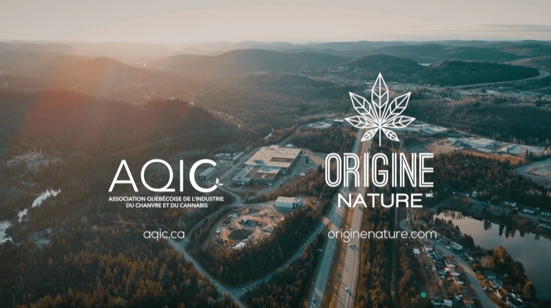 Cannabis Growth Stories: Origine Nature