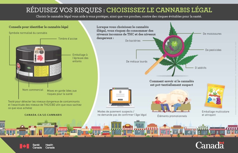 Nouvelle campagne de Santé Canada pour réduire les risques liés au cannabis illégal