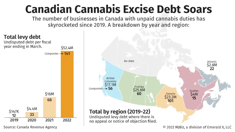 De plus en plus de producteurs de cannabis en défaut de paiement des taxes d’accise