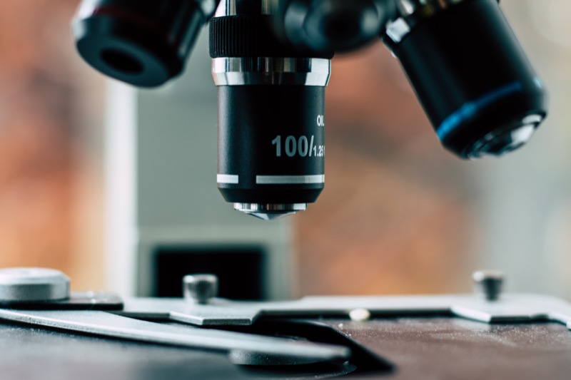 A new biotechnology could produce cannabinoids by biosynthesis