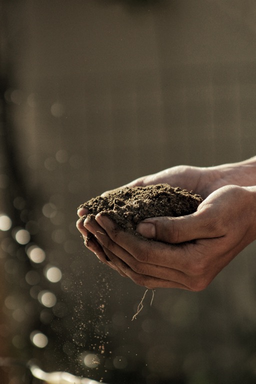 Partenariat canadien pour une agriculture durable