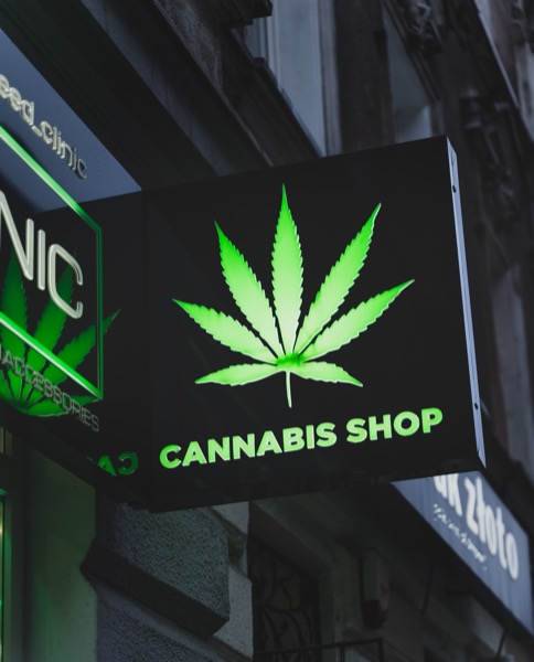 La légalisation du cannabis engendre une diminution de la consommation d'alcool, de nicotine et d'opioïdes 