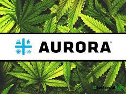 Aurora rachète TerraFarma, la société mère de Thrive Cannabis