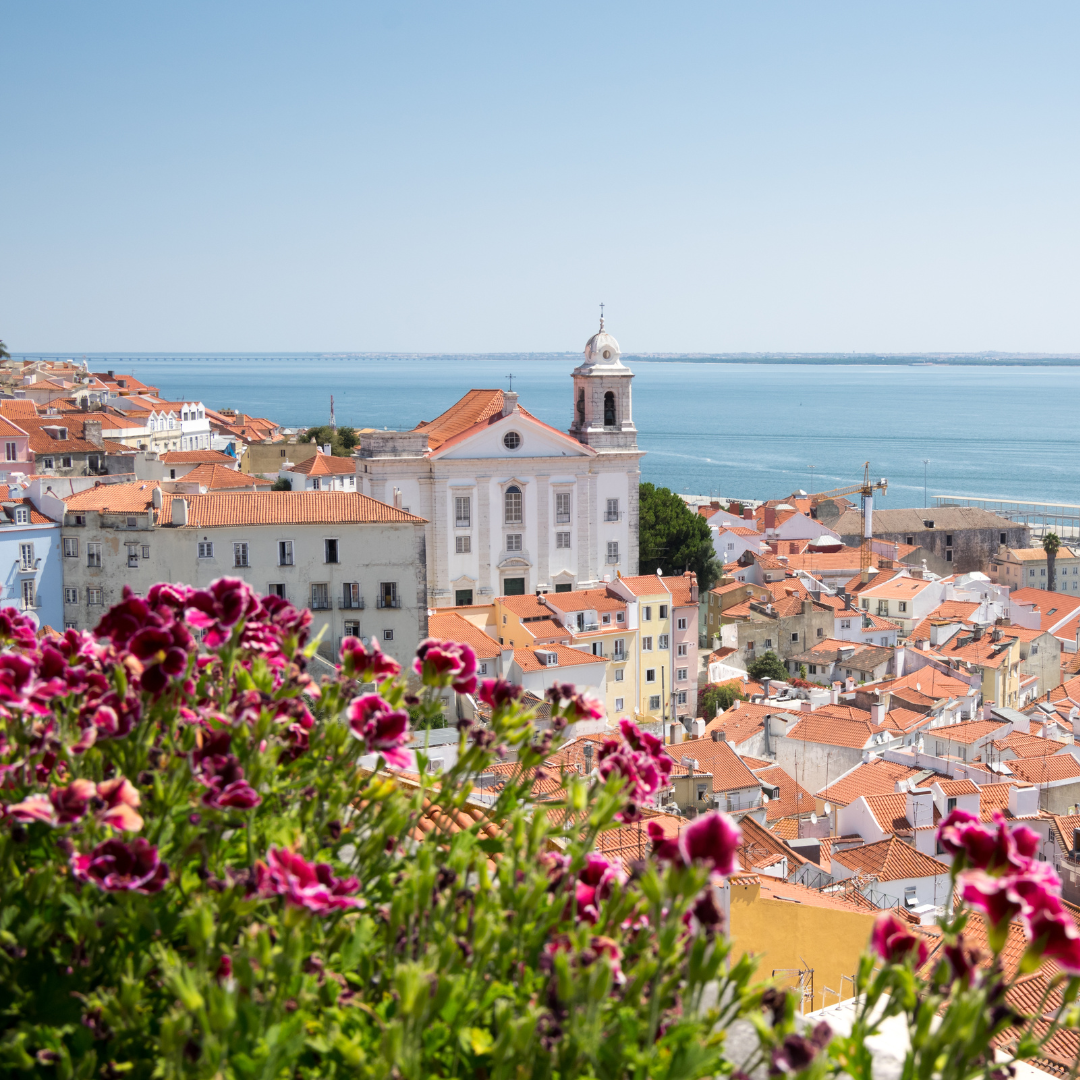 Le Portugal et le cannabis médical