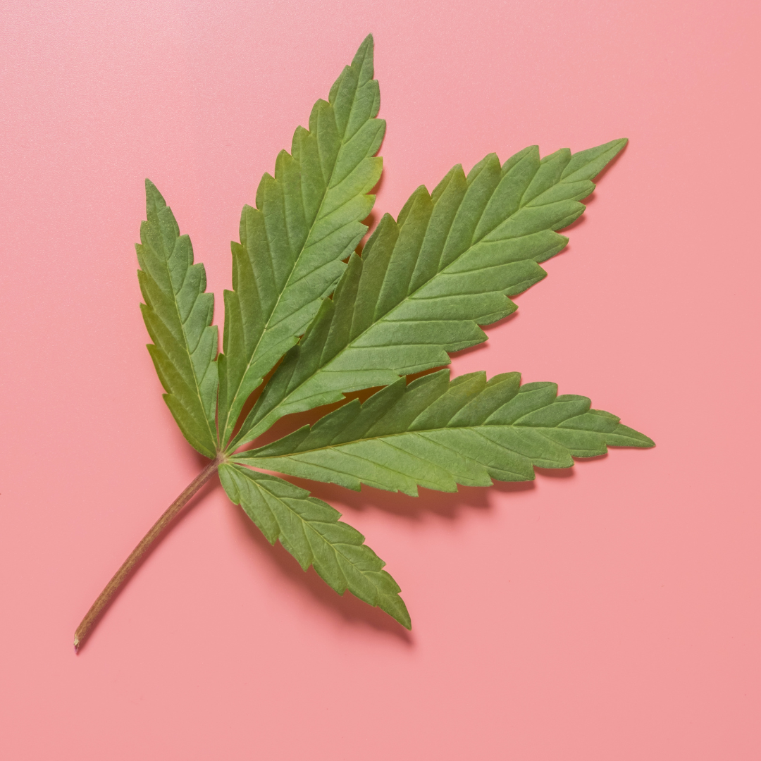 Cannabis: a study (finally) sets the record straight